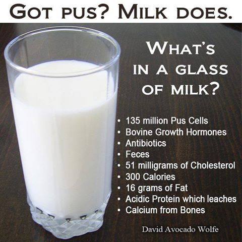 milk-nonsense